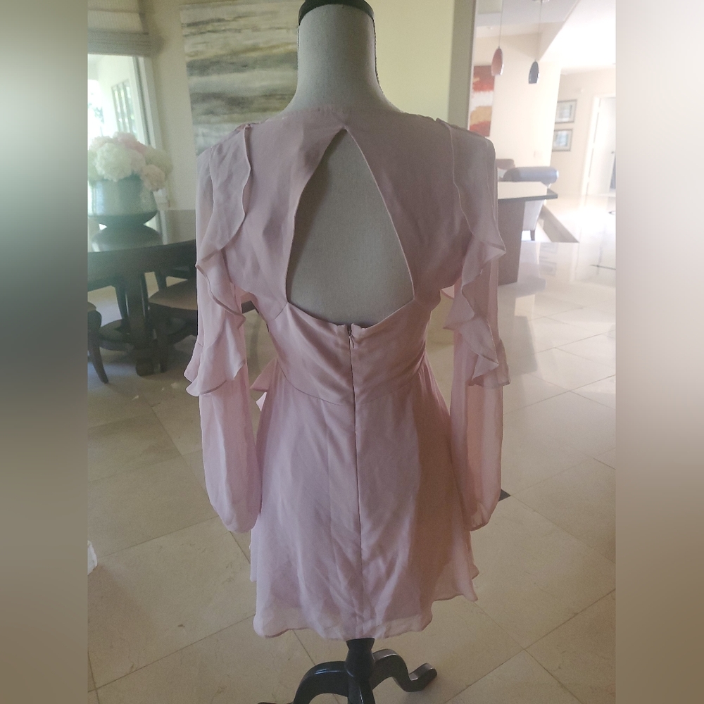 BCBGeneration Pink Ruffle Dress - Picture 3 of 4